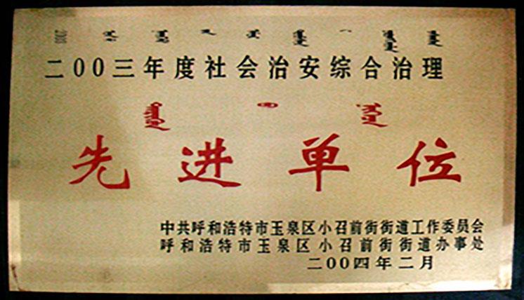 2003年度社會(huì)綜合治理先進(jìn)集體